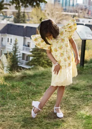 Hasina Angel Dress