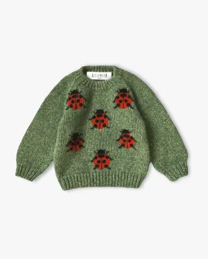 Ladybug Jumper |green moss| in stock (12-18m /2-3y)