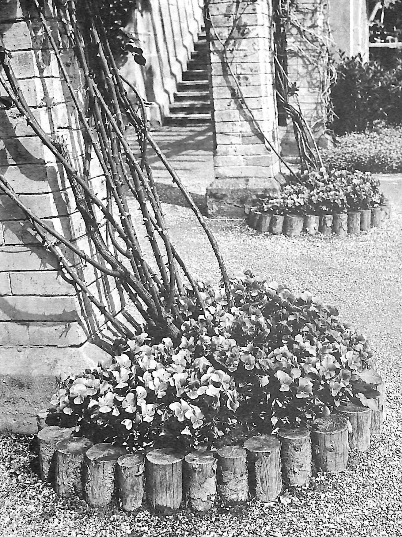 "Flowers In History" 1970 COATS, Peter