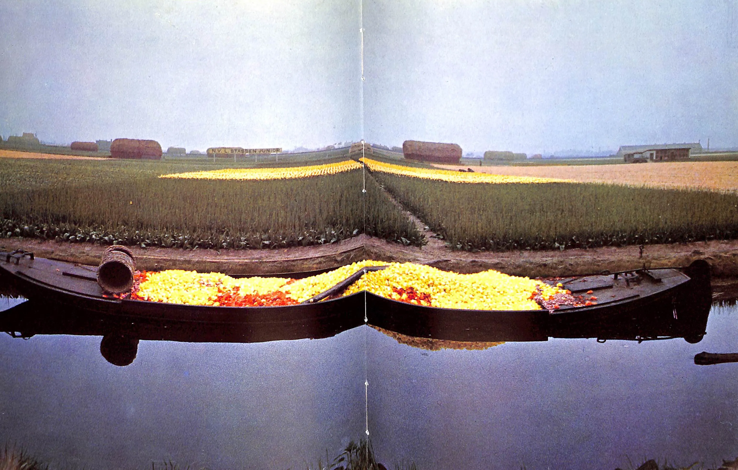 "Flowers In History" 1970 COATS, Peter