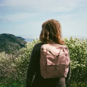 Waterproof Hill Pack - Crabapple